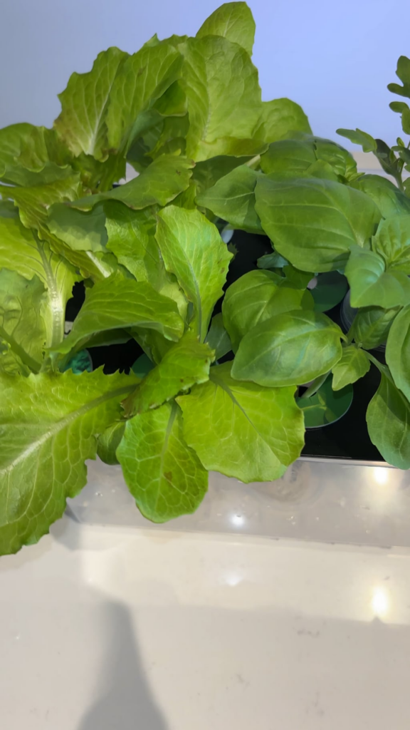 Can I get your opinion?