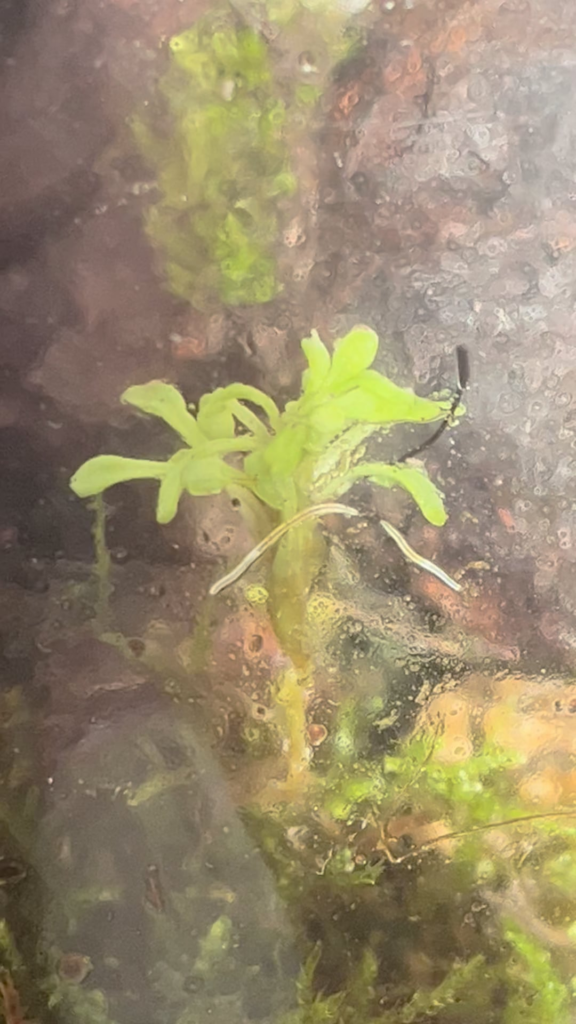 Any idea of who they are?