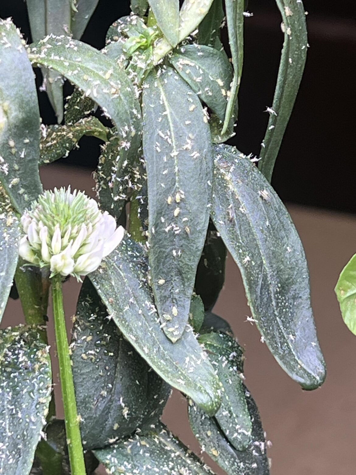 Well this is unfortunate