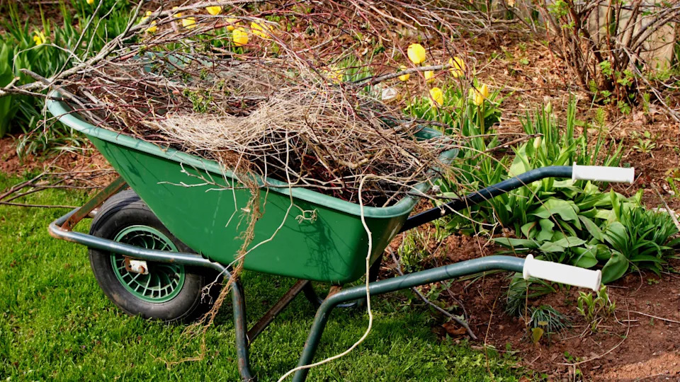 Photo by onepony on Getty Images