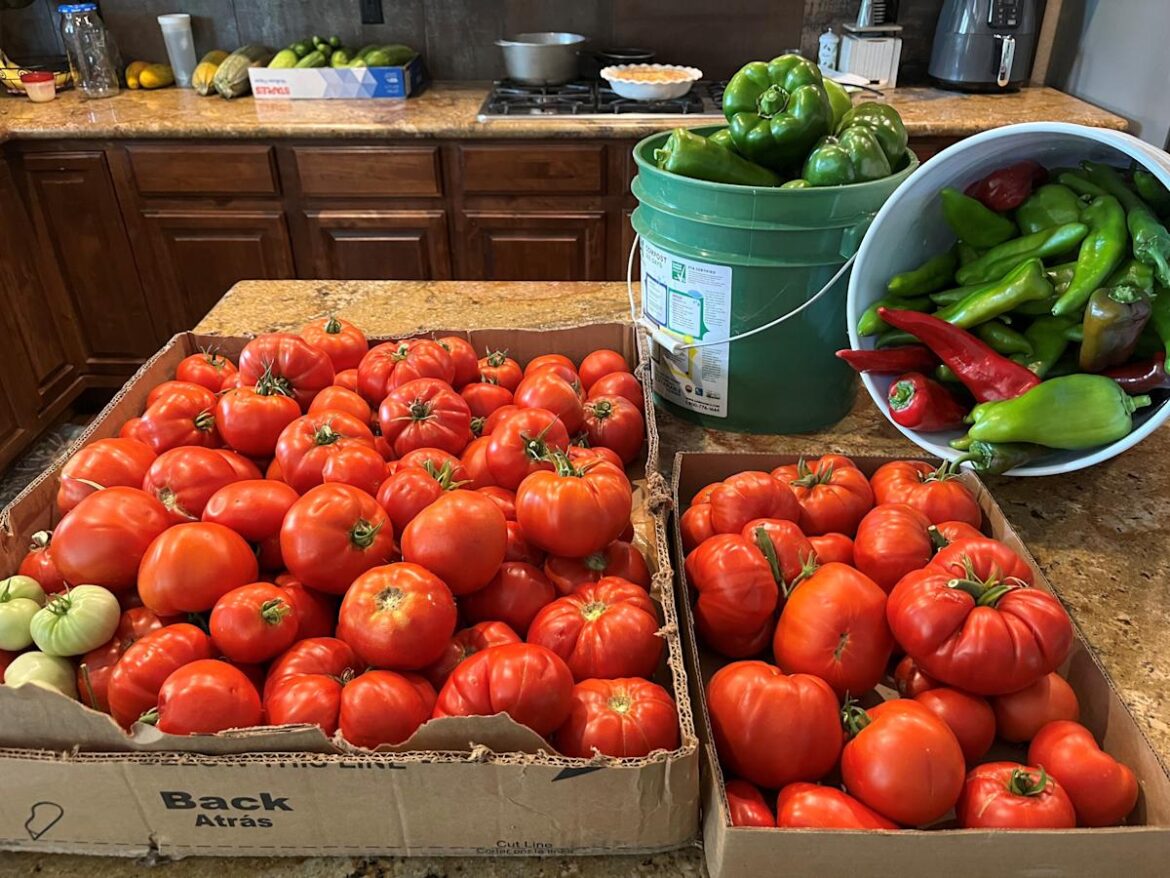Should Colorado vegetable gardeners risk planting early this spring? Should Colorado vegetable gardeners risk planting early this spring?