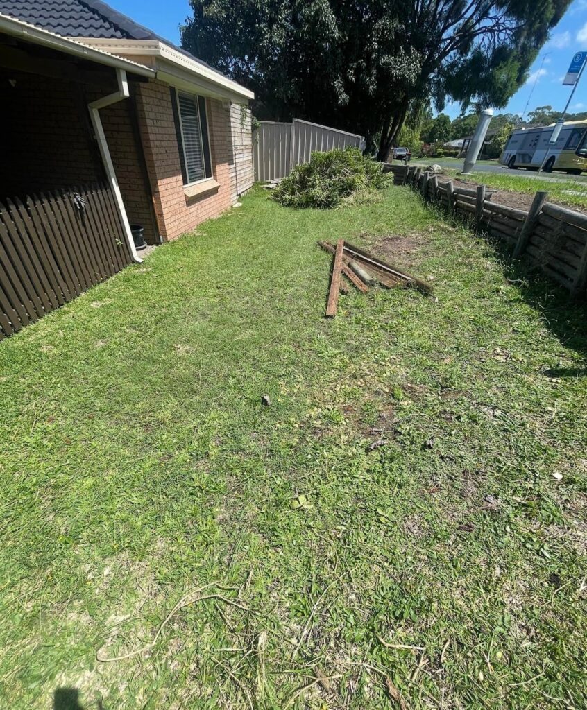 Removed the lawn, planted natives! 8 months difference