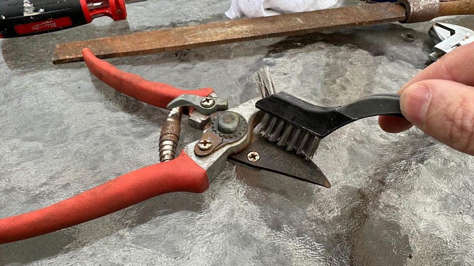 A pair of pruning shears being brushed as they're cleaned