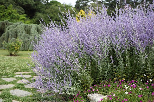 Credit: Photo: White Oak Gardens