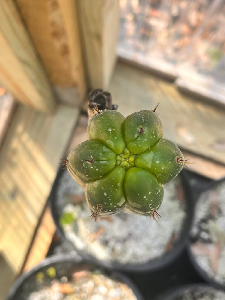 Do we think this is terminating or just getting funky ?