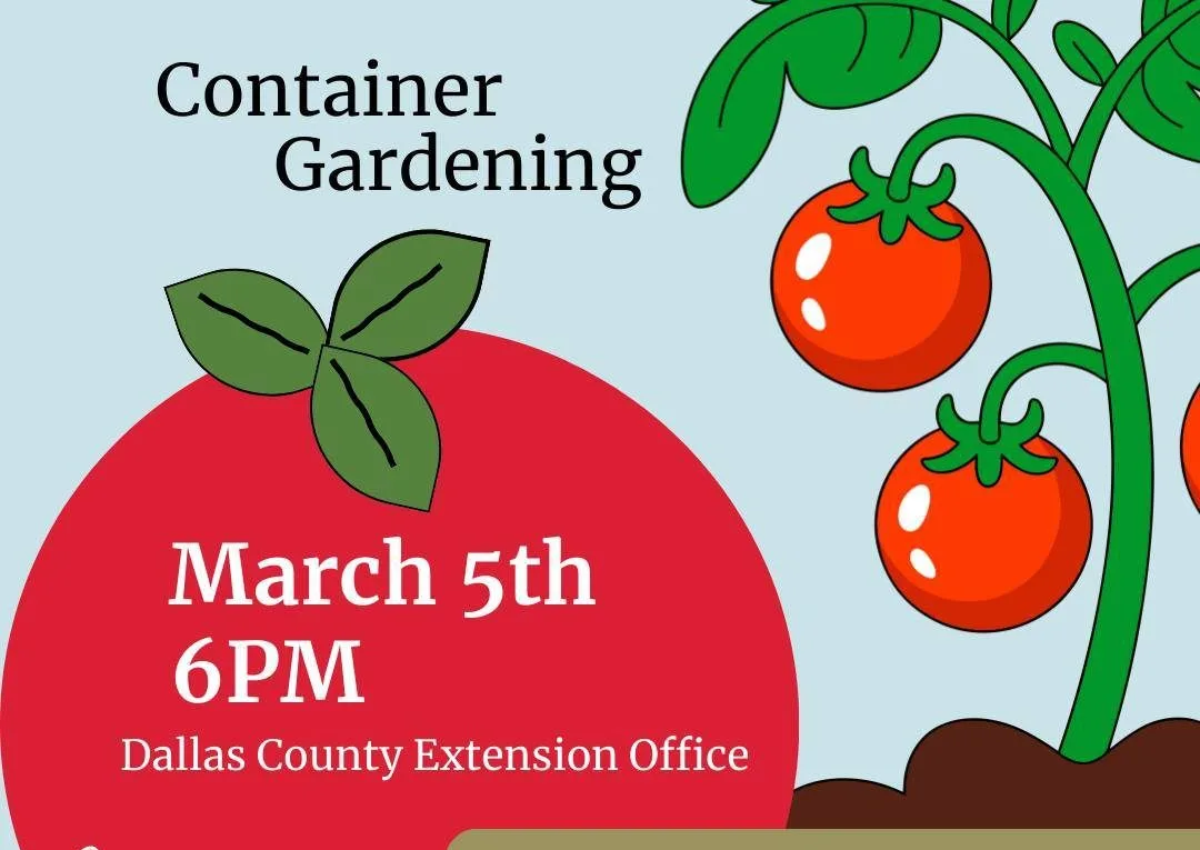 dallas-county-extension-container-gardening