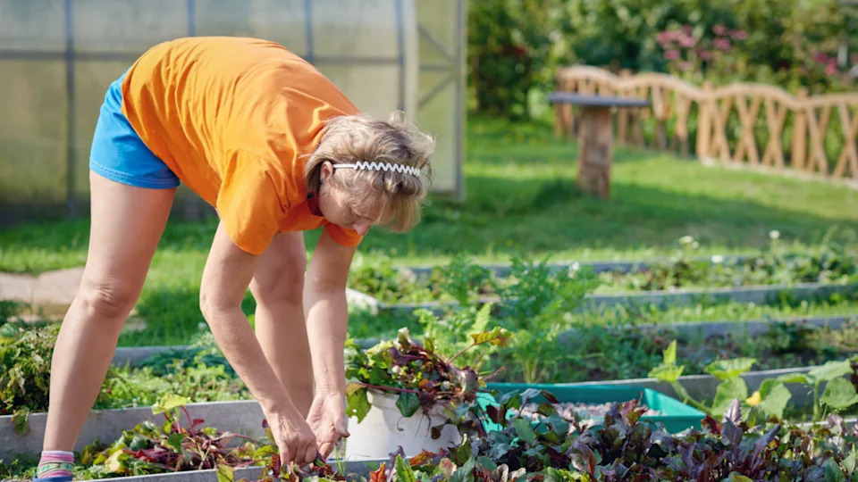 woman weeding in her garden bending over