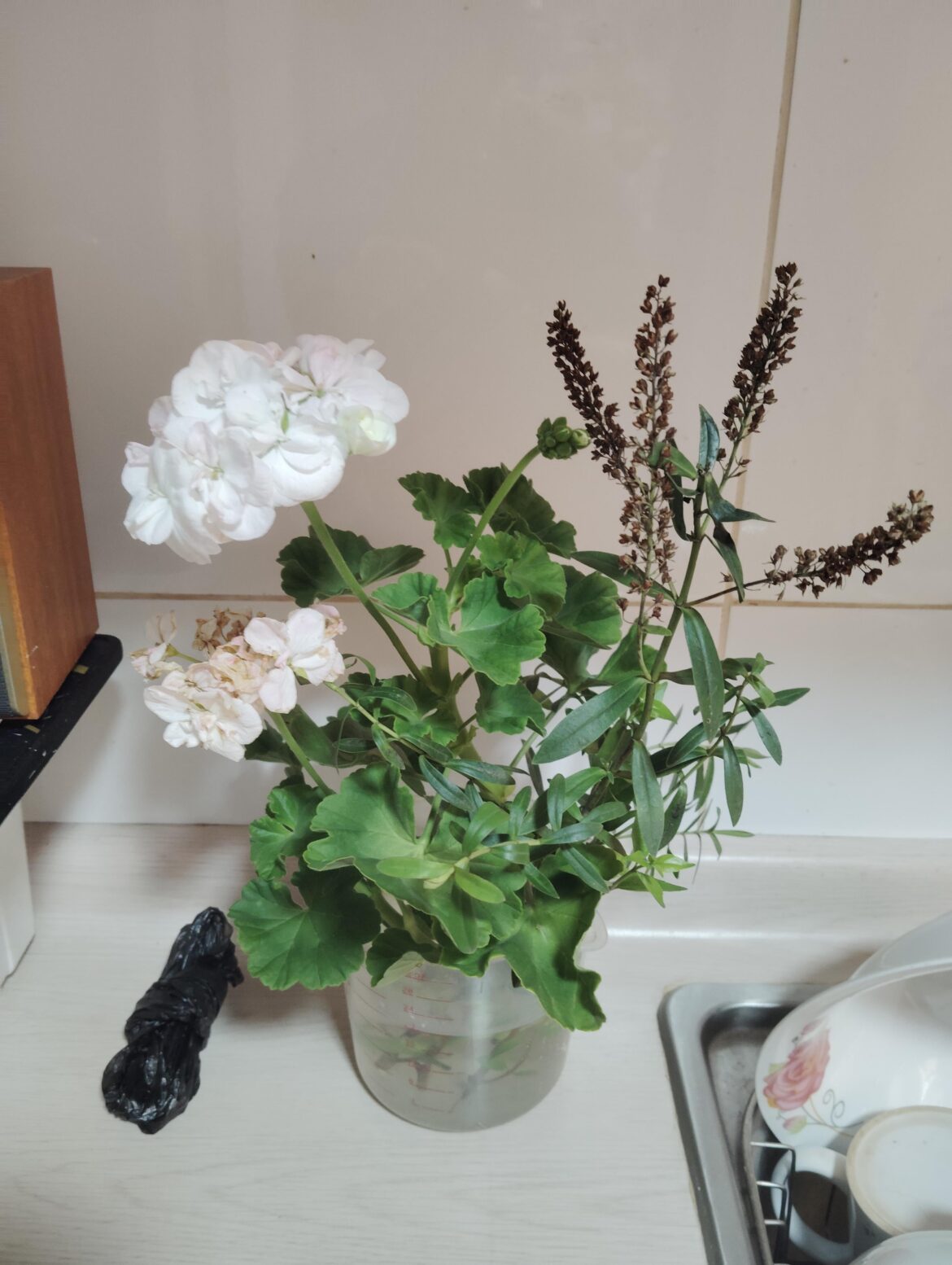 Anyone know what these are?