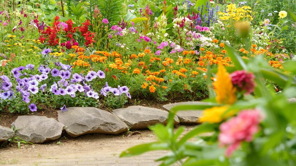 Flower beds in the English Garden with a variety of colorful flowers