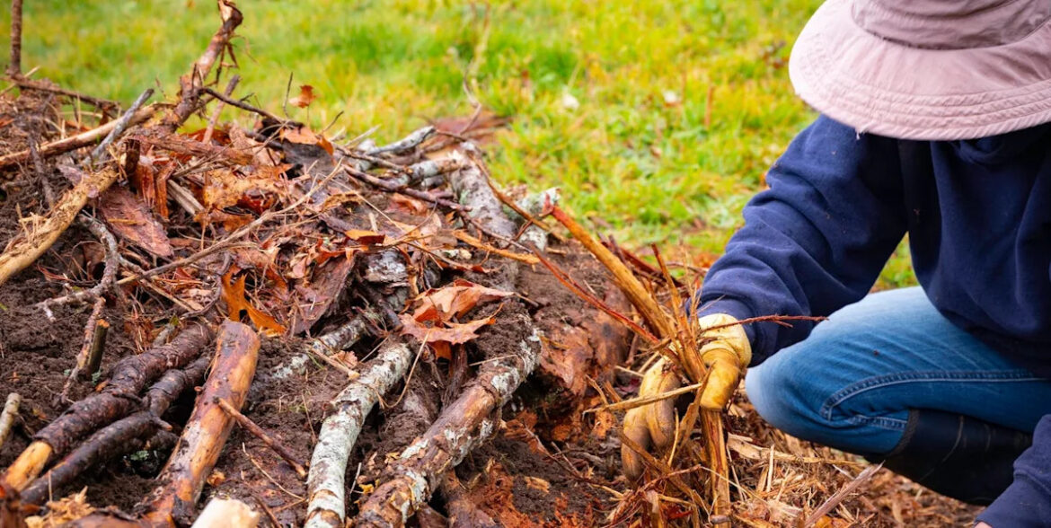 Hügelkultur: The clever German gardening method that feeds soil for years Hügelkultur: The clever German gardening method that feeds soil for years