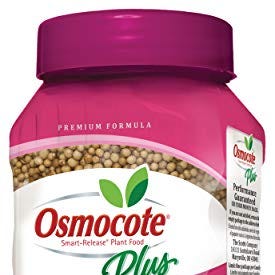 Smart-Release Plant Food Plus Outdoor & Indoor, 1 lb.
