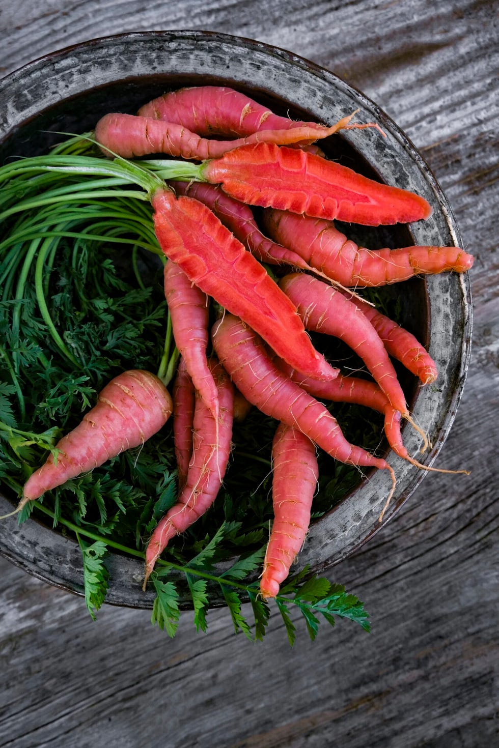 atomic red carrot variety, deepest orange red when harvested atomic red carrot variety, deepest orange red when harvested