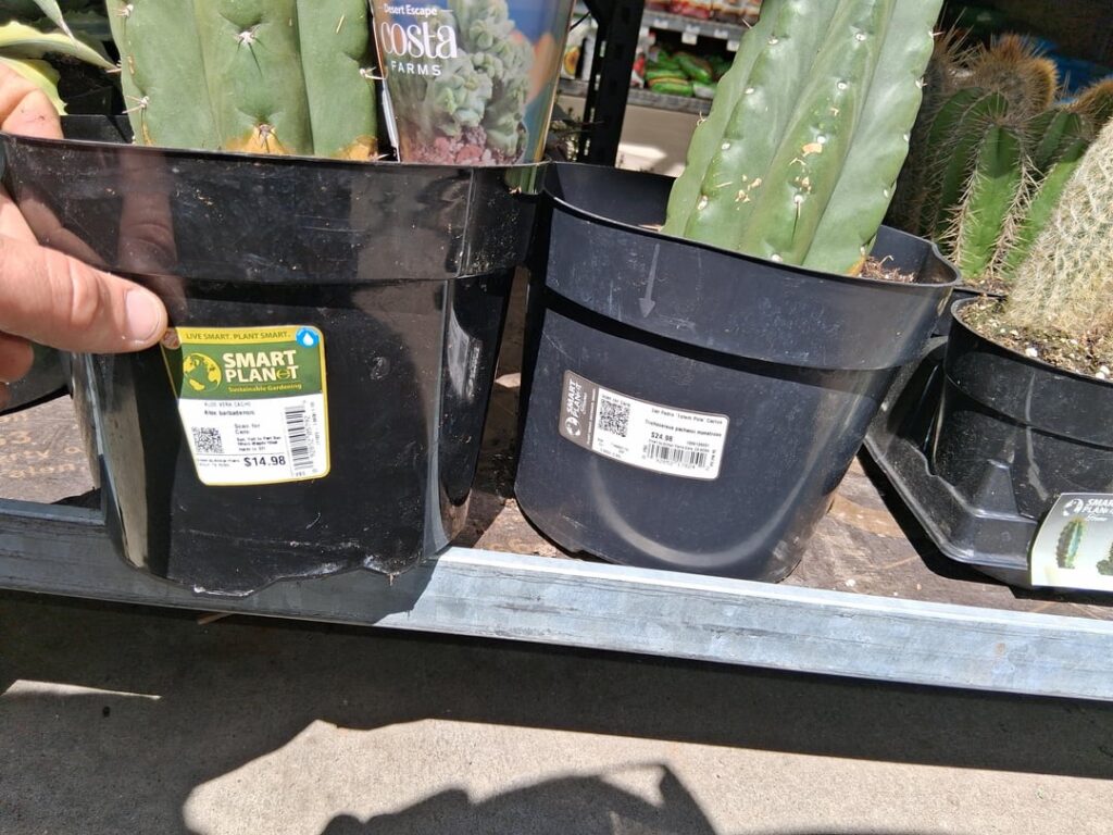 Home depot haul