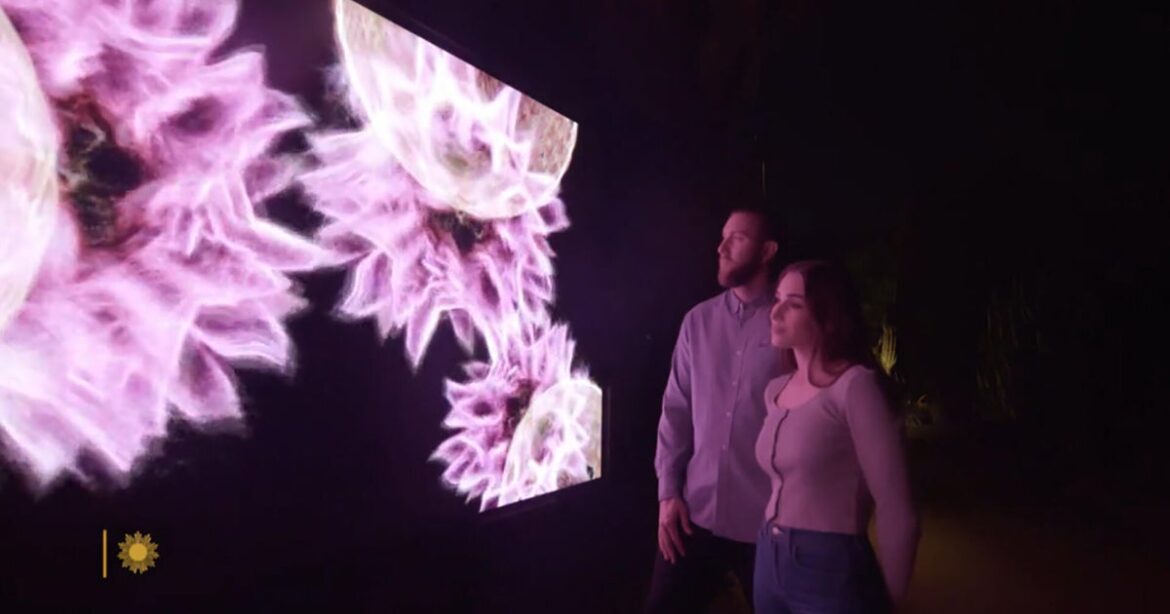 Art and data converge in Arizona's Sonoran Desert