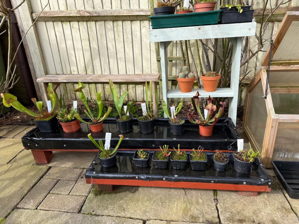 Ready for spring 2026