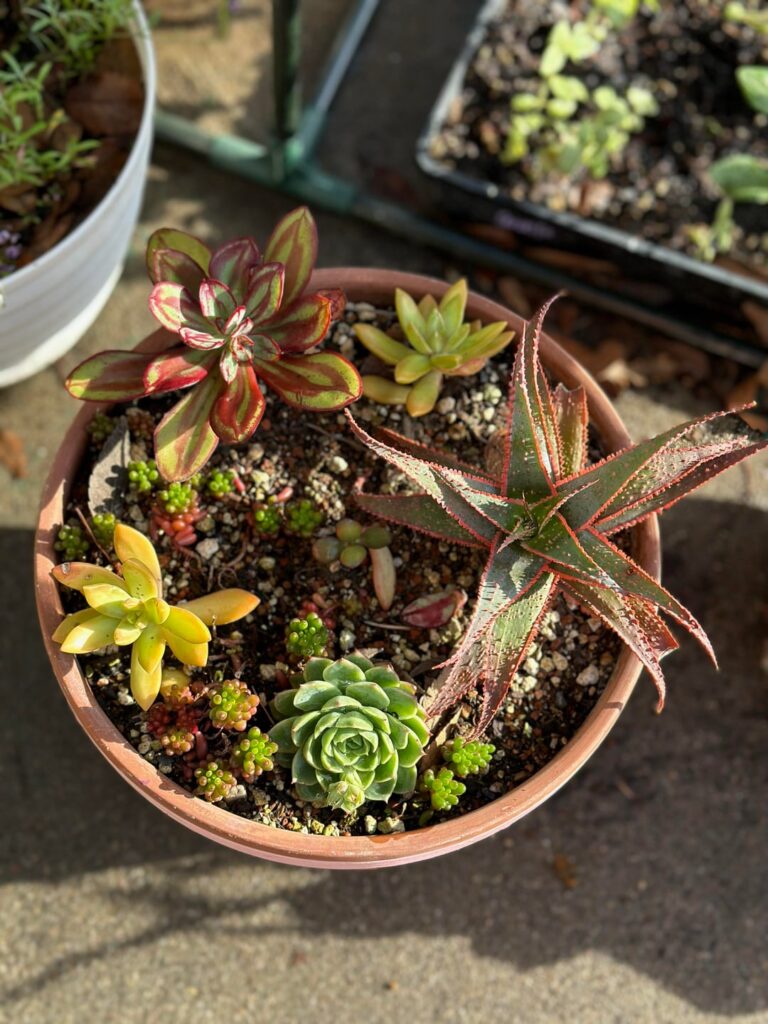 Some planters I put together