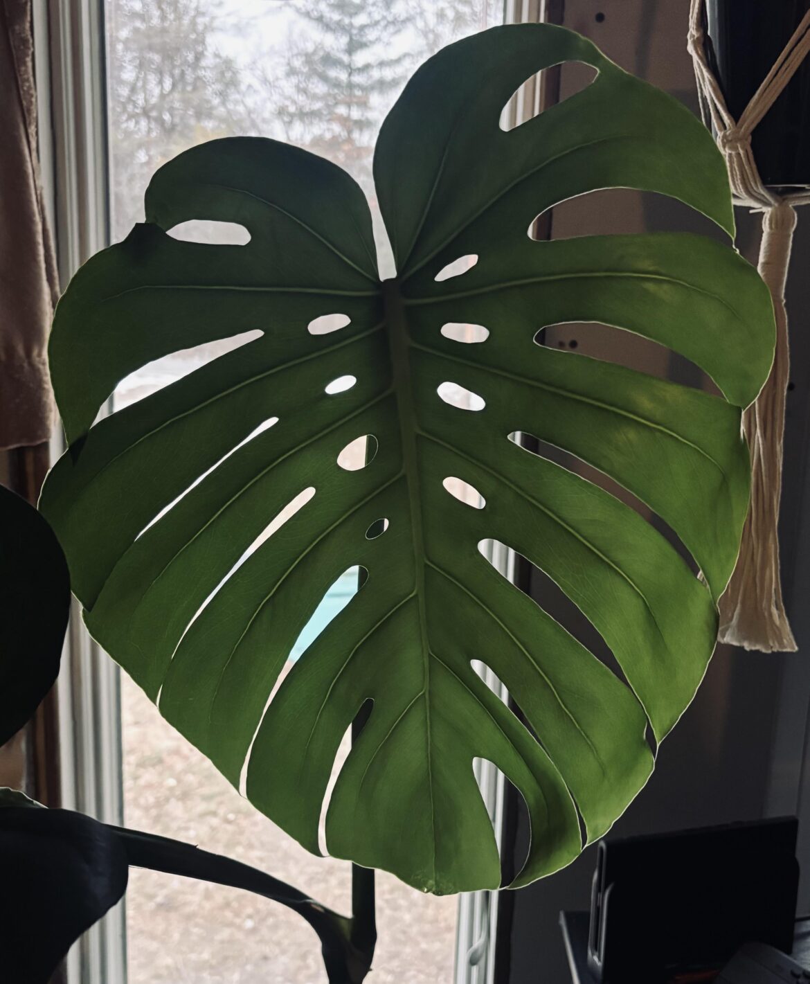 🌞