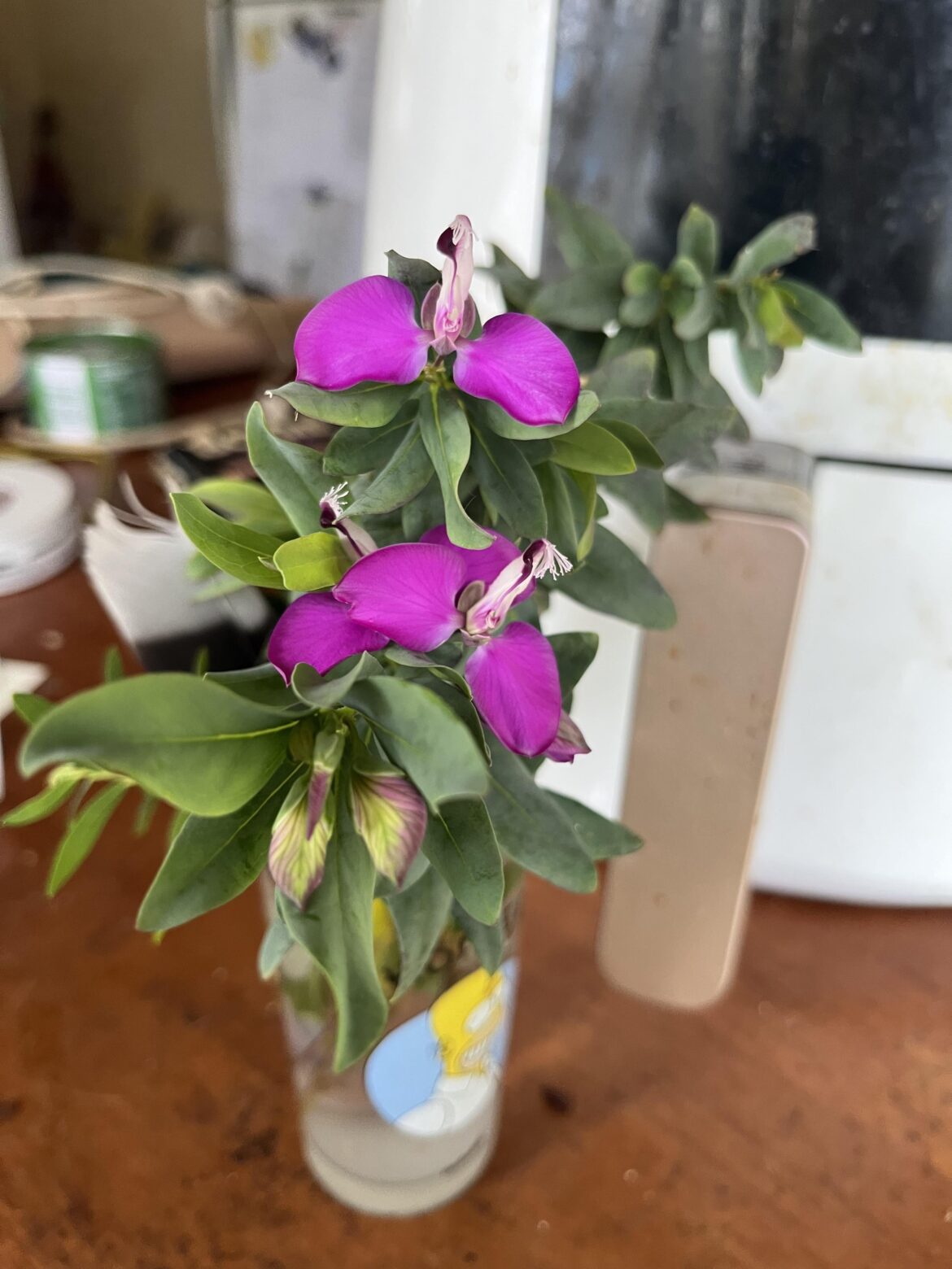 Can anyone id this pretty flower bush please?