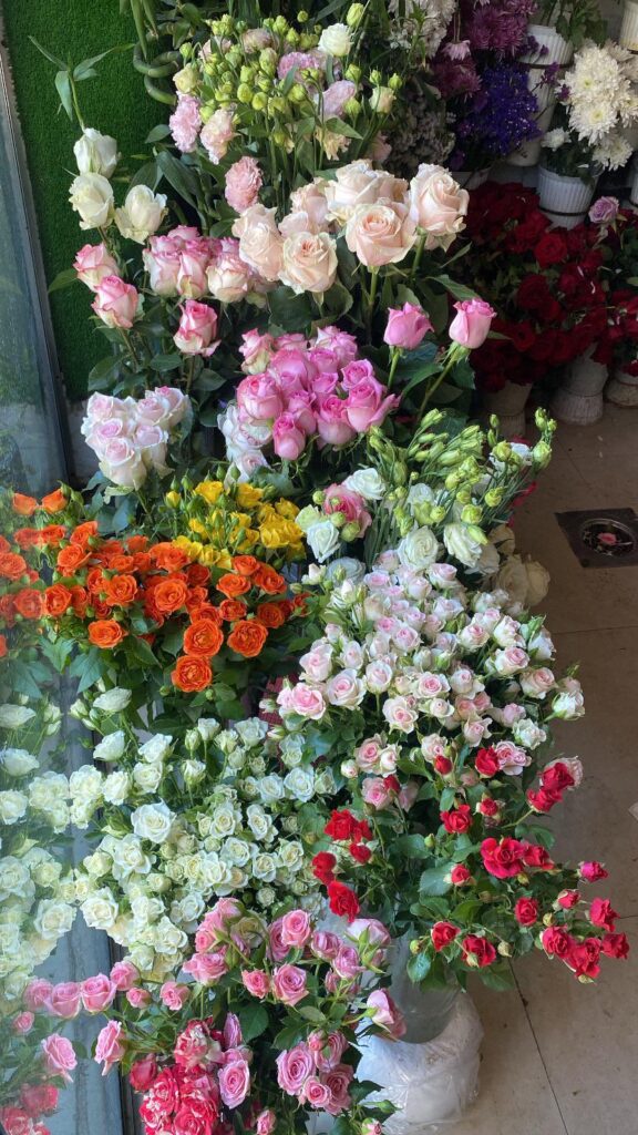 In case you haven’t seen something beautiful today