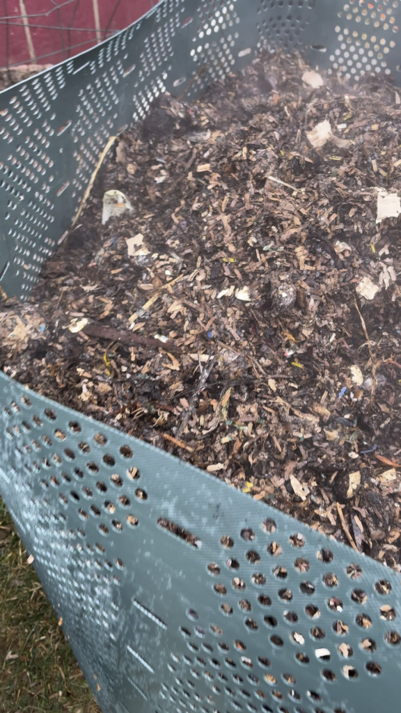 About 2 months of food scraps thawed out and started breaking down