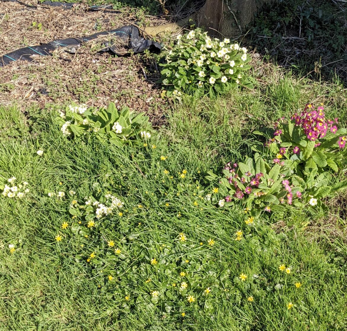 Do you divide and conquer? Do you divide and conquer?