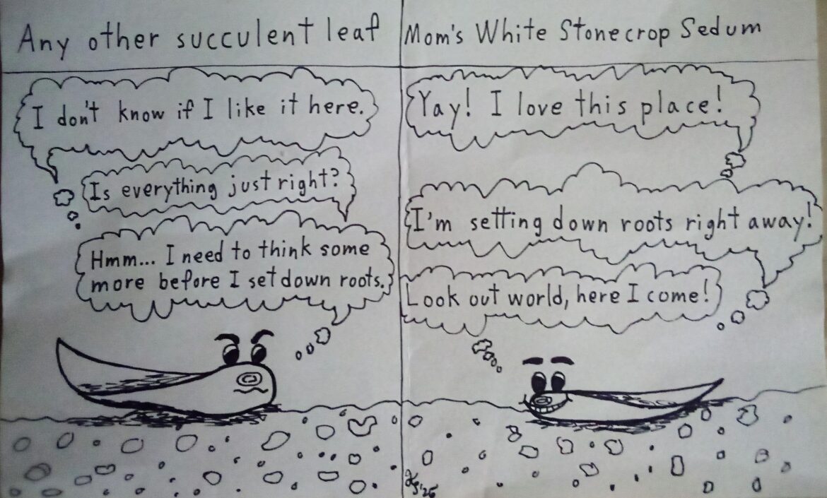 Plant-based comic Plant-based comic