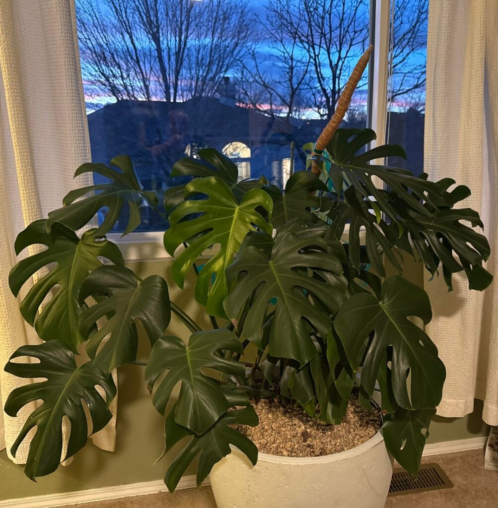 Should I separate?