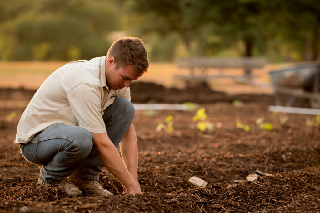 Spring Gardening in Utah: How to Prepare Soil for a Successful Growing Season Spring Gardening in Utah: How to Prepare Soil for a Successful Growing Season