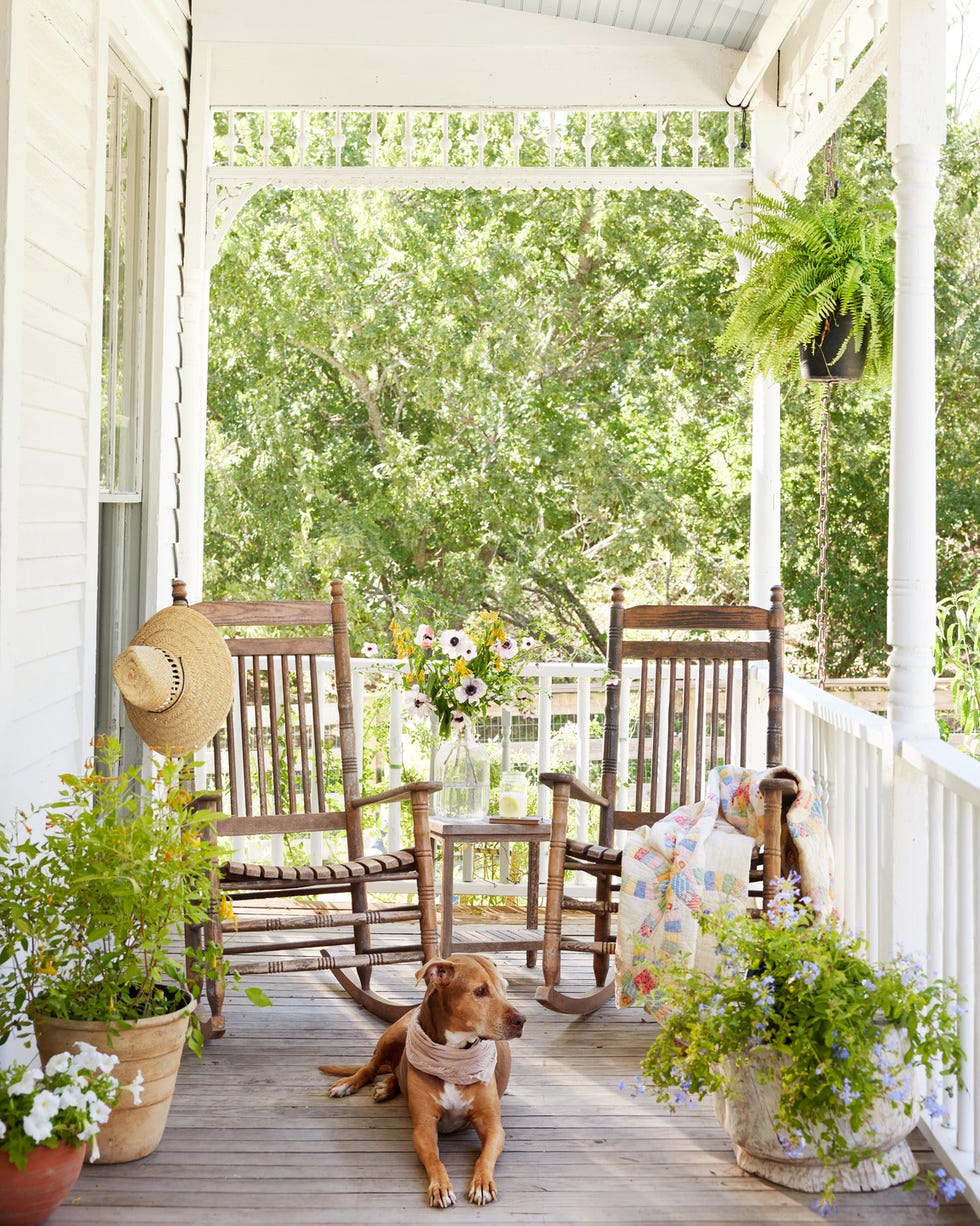 Dog on a Porch a bandanna wearing dog on the porch of claire zinneckers 1897 folk victorian farmhouse in texas