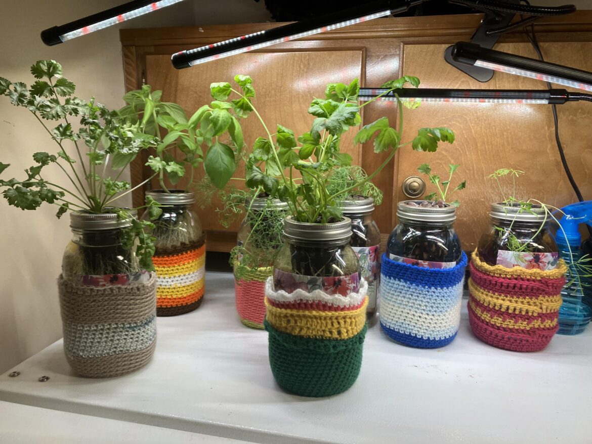 My broke college student setup, featuring the sweaters my grandma made for my plants.