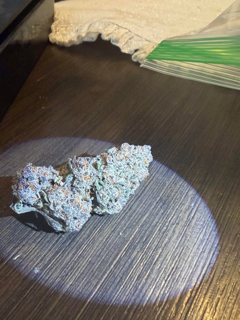 Had a nice harvest blueberry Treatz (bluberryXZittlez) 2 plants