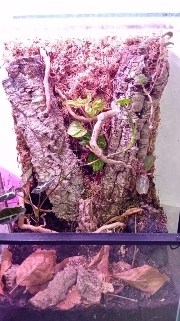 Before (my 1st ever build) and after