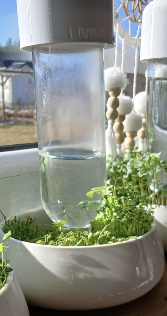 Living bloom system.