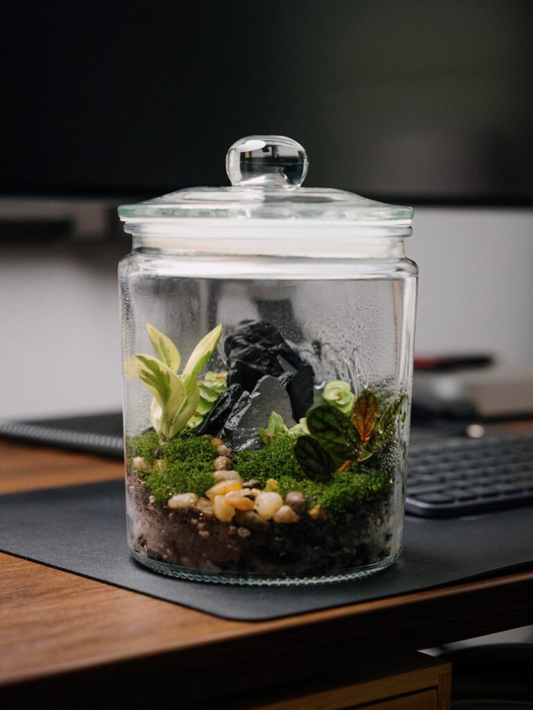 My first terrarium! Looking for constructive feedback/tips for future builds.