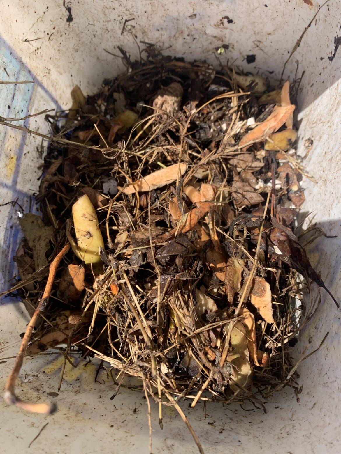 First compost! Concerns? Advice? Tips? First compost! Concerns? Advice? Tips?