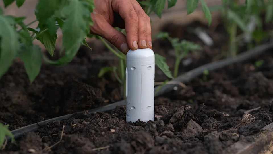 Photo by MementoJpeg on Getty Images