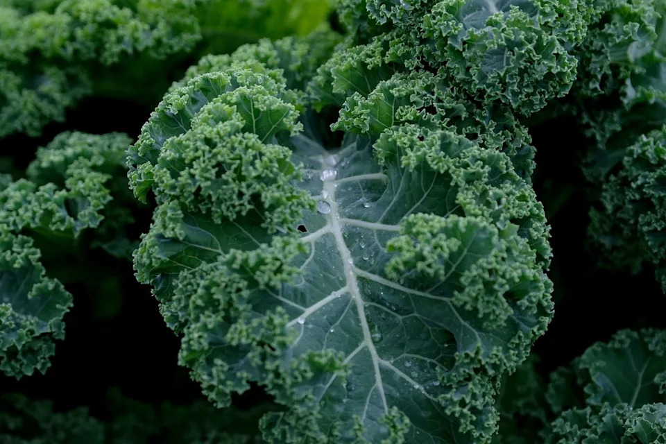 Credit: Bloomberg Creative/Getty Images