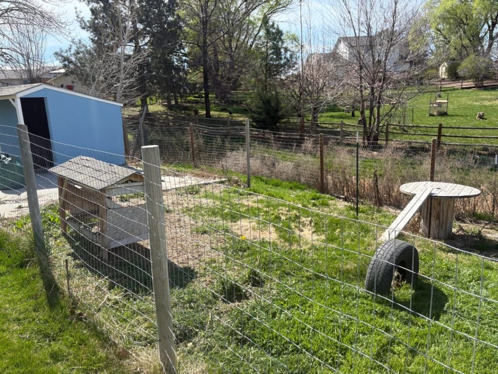 Animal pens