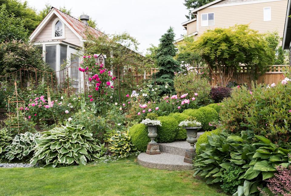 Credit: Laurie Black