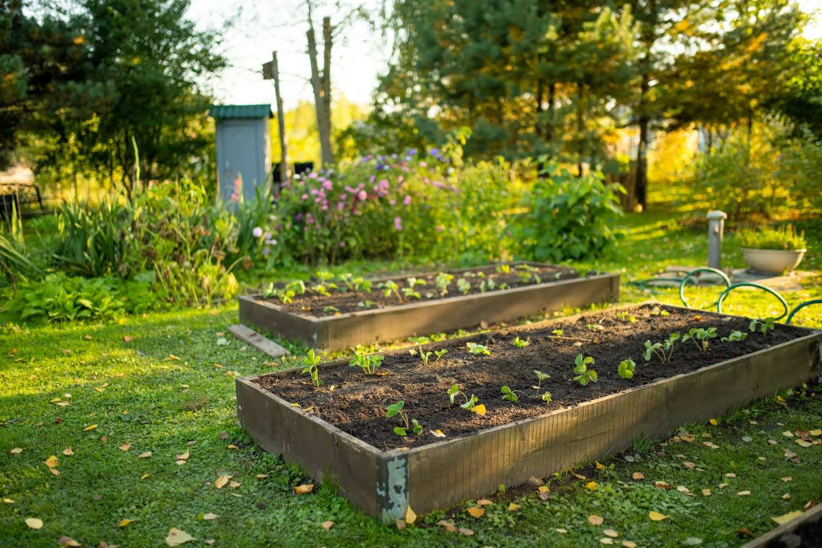 MNStudio / Shutterstock.com