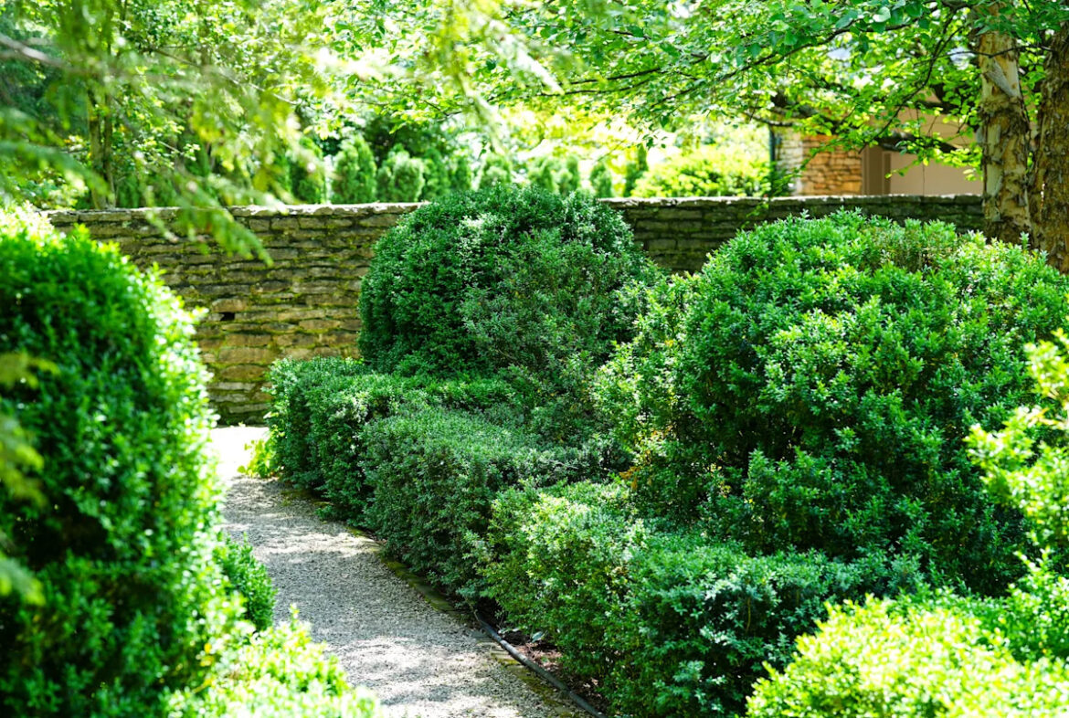 Yahoo lifestyle home