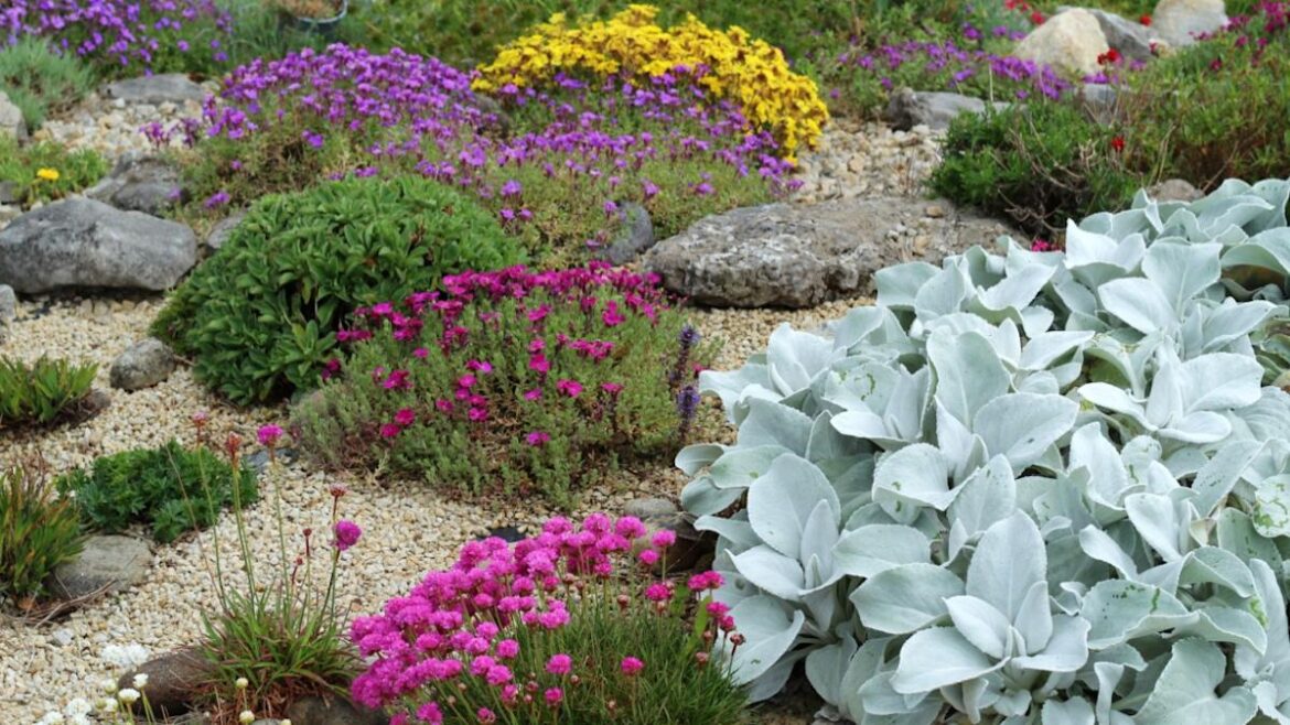 The 2026 Garden Trends to Know Before Planting a Single Thing This Spring The 2026 Garden Trends to Know Before Planting a Single Thing This Spring