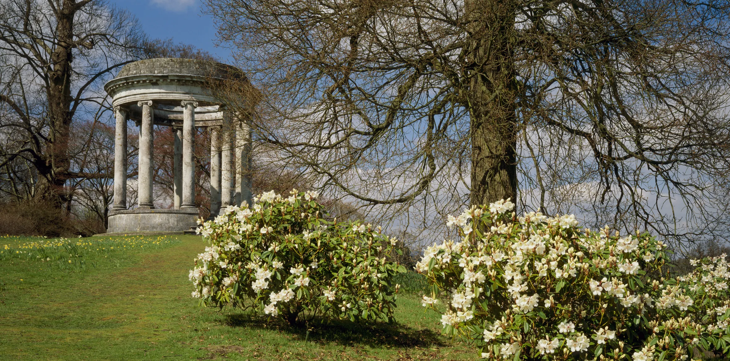The Rotunda at Petworth House on a hillside with daffodils and rhododendron bushes in the foreground.