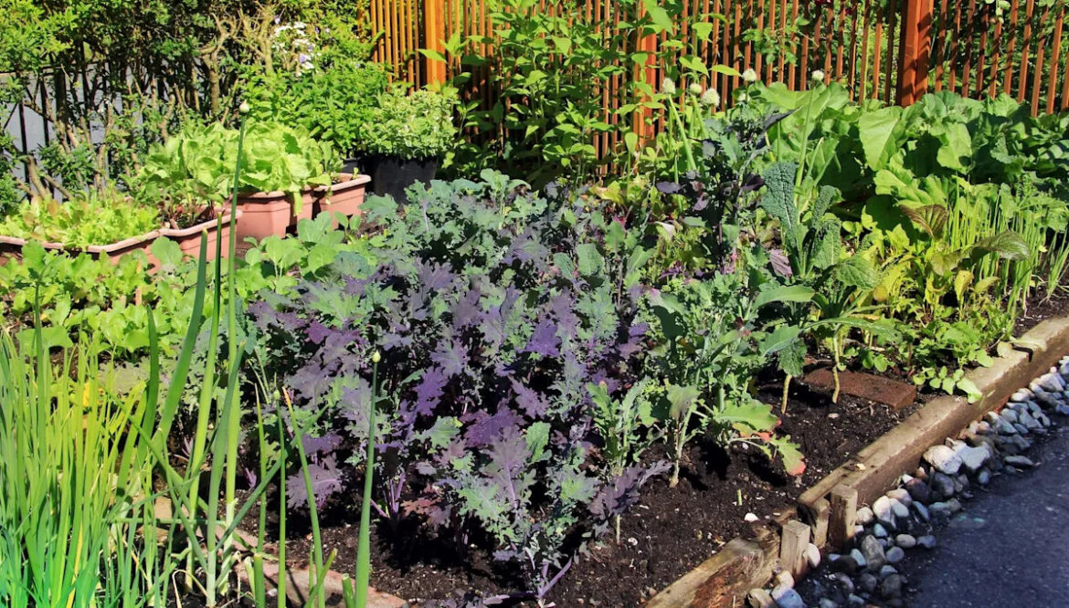 Gardener reveals simple hack using old cardboard boxes: ‘You’ll love it’ Yahoo lifestyle home