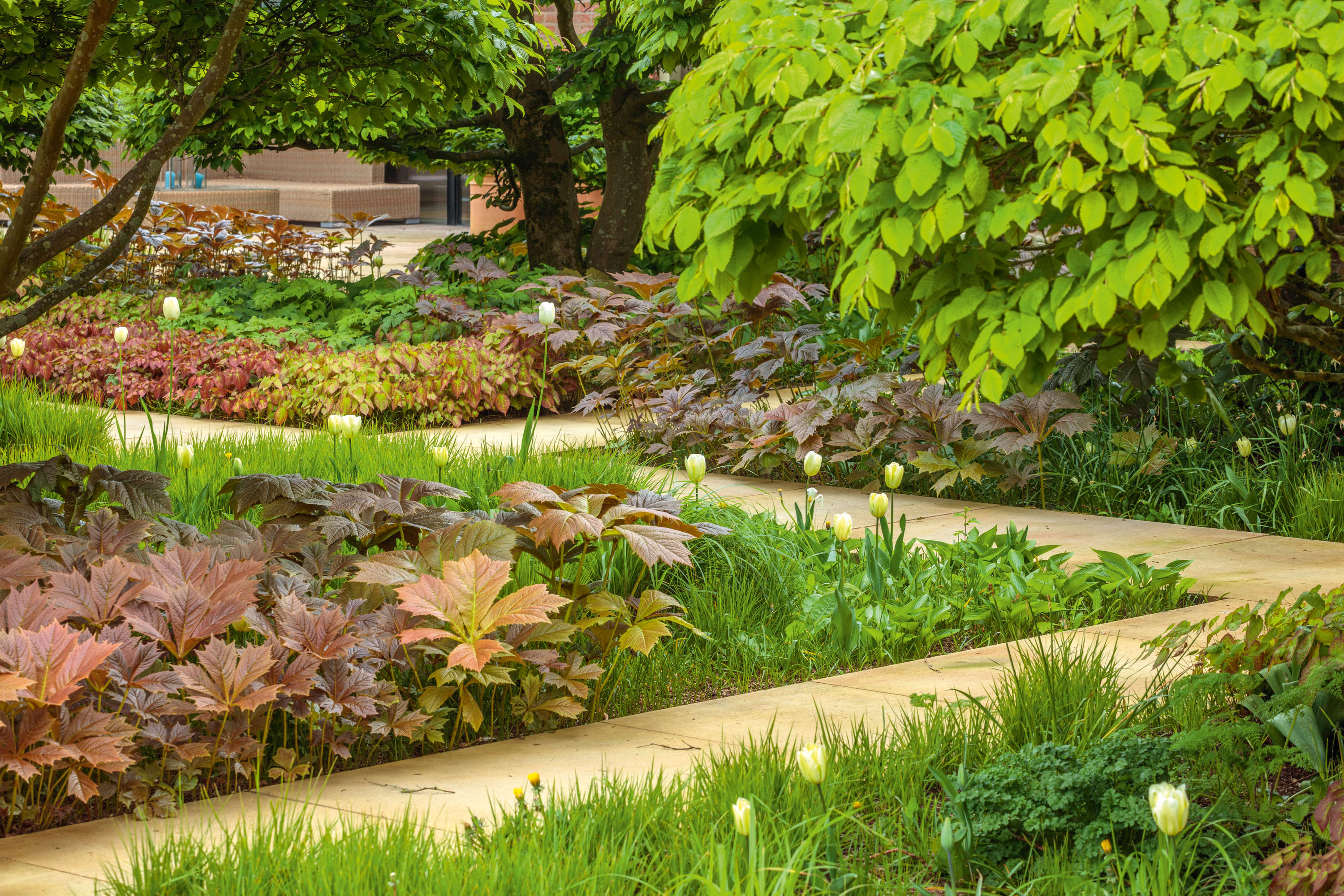 The garden at Cogshall Grange in Antrobus, Cheshire &mdash;&nbsp;the home of Julia Kirkham and Brendan Flood.