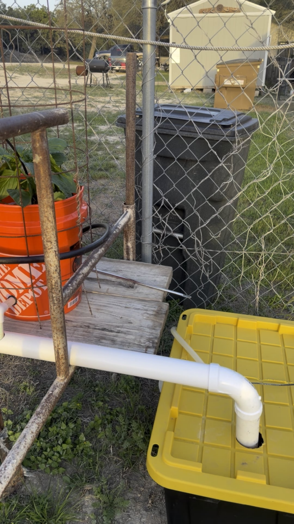 Dutch Bucket Update