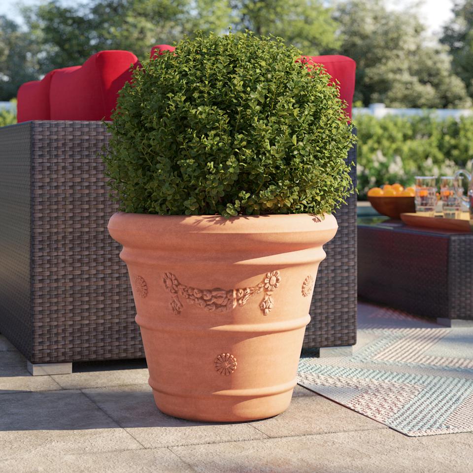 Amayia Pot Planter