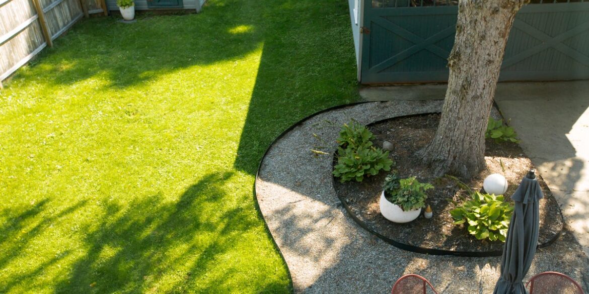 15 Best Plants That Grow Under Trees (Even in Dry Shade)