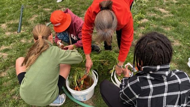 Digging it: Master Gardeners help middle school students grow love for gardening Digging it: Master Gardeners help middle school students grow love for gardening