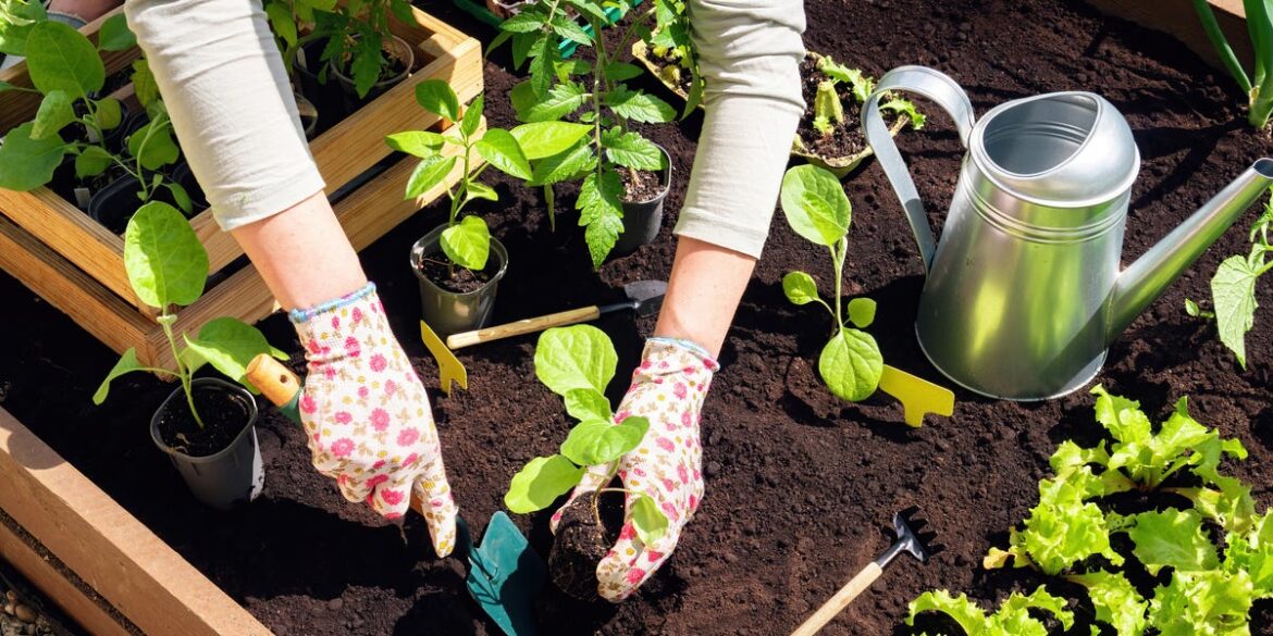 12 Easiest Vegetables to Grow in Your Garden 12 Easiest Vegetables to Grow in Your Garden